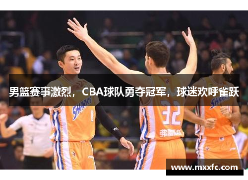 男篮赛事激烈，CBA球队勇夺冠军，球迷欢呼雀跃
